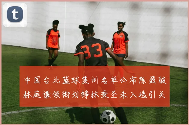 中国台北篮球集训名单公布陈盈骏林庭谦领衔刘铮林秉圣未入选引关注