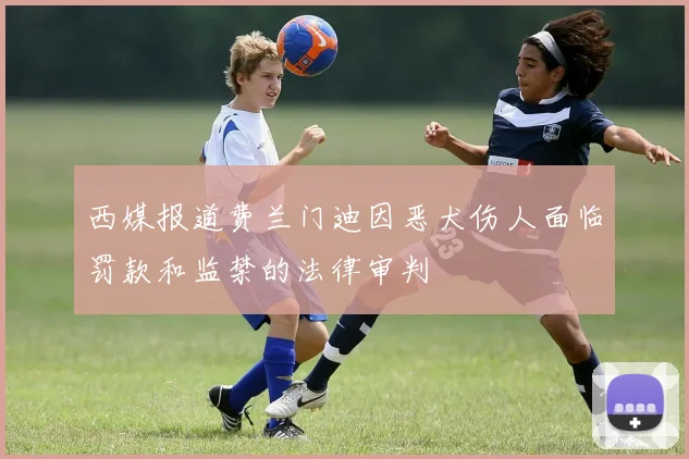 西媒报道费兰门迪因恶犬伤人面临罚款和监禁的法律审判